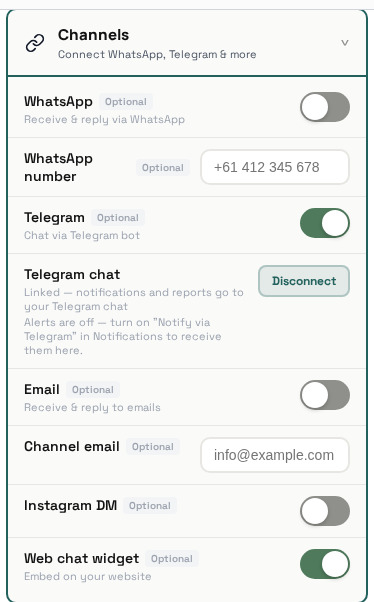 Channels settings: WhatsApp, Telegram, Email, Instagram DM and Web chat widget toggles